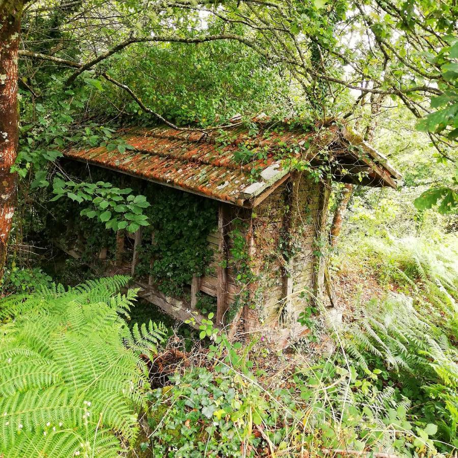 Maison d'hôtes Casa Do Cruzeiro à Paredes de Coura Extérieur photo